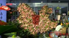 昆明国际花卉展启幕 人体花艺首秀吸睛