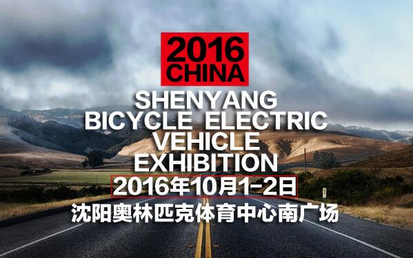 第8届沈阳自行车电动车展(图2)