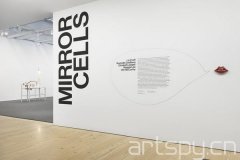 群展“镜像细胞”日前在纽约惠特尼美国艺术博物馆