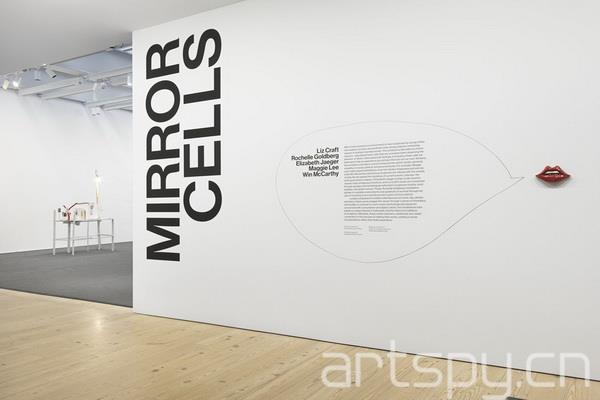 群展“镜像细胞”日前在纽约惠特尼美国艺术博物馆(图1)