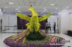唐山市民快到世园会看国际精品兰花展