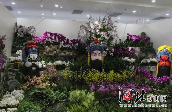 唐山市民快到世园会看国际精品兰花展(图2)