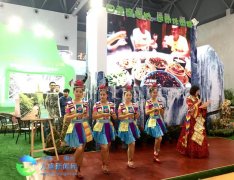 2016重庆国际旅游狂欢节万盛展厅
