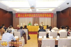 第十三届中博会在广州开幕 69家川企亮相展