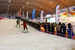 2016年中国国际体育产业展 聚焦京津冀冰雪产业