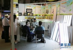 中国企业成为中东照明展主力军