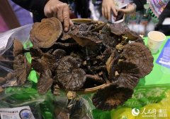 第9届义乌森博会首设国家精准扶贫展区