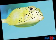 厦门海底世界内设有五个特色展区