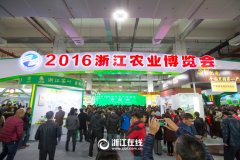 看展览、尝美食、囤年货 2016浙江农博会