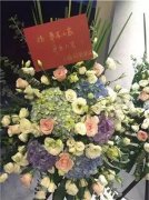 半木展厅正式开业啦