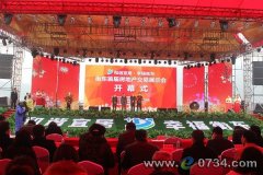 衡东首届房交展会启幕 26个品质楼盘集中亮相